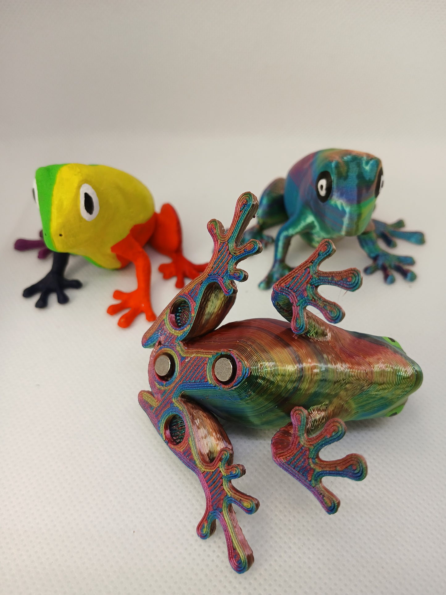 Magnets Frogs 3D