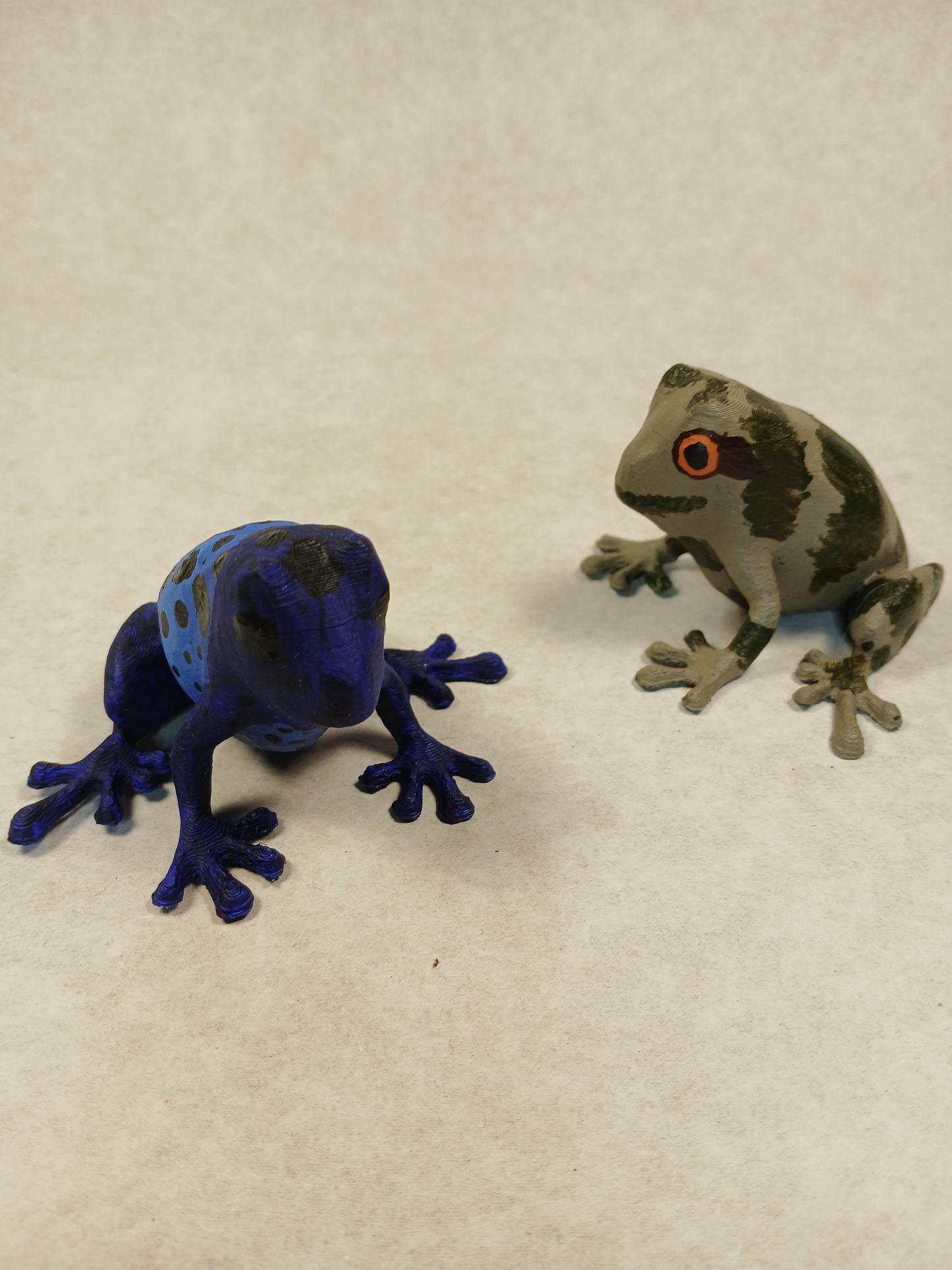 Magnets Frogs 3D