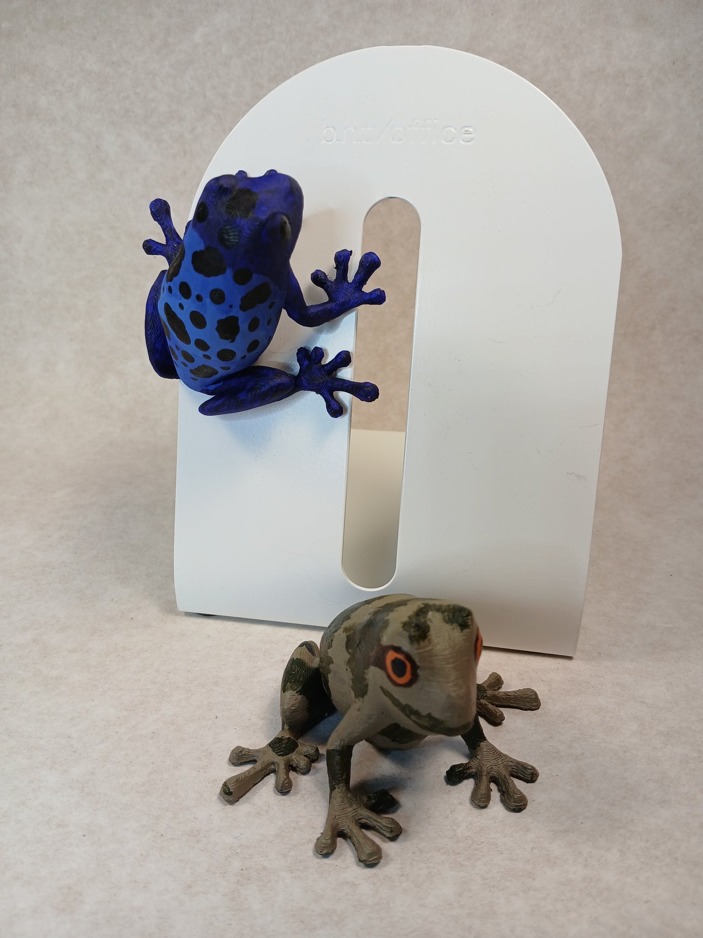 Magnets Frogs 3D