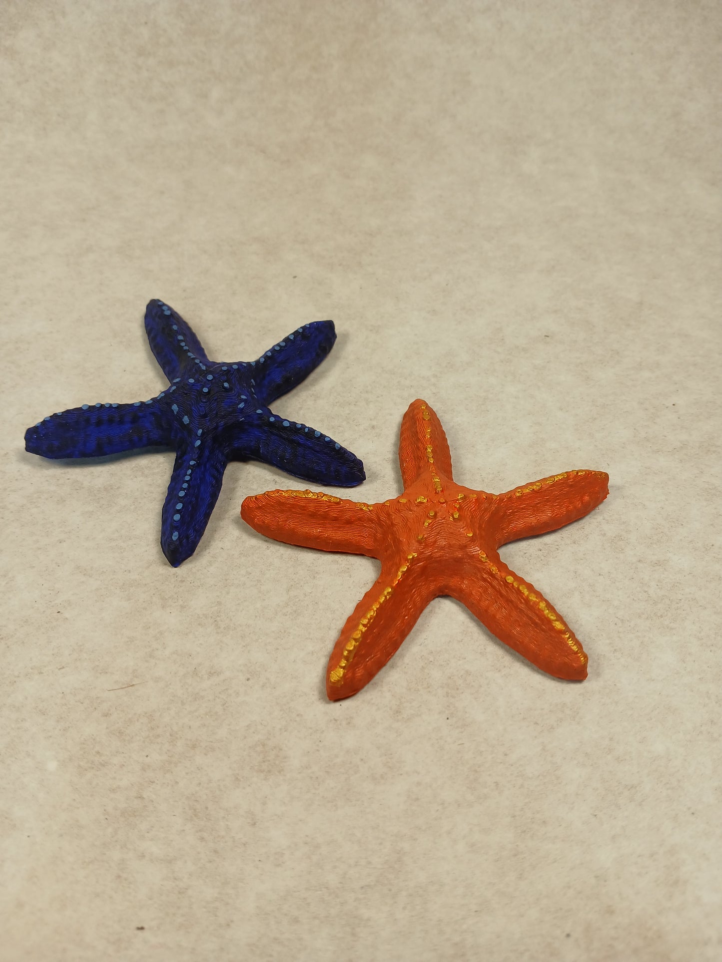 Magnets Starfish