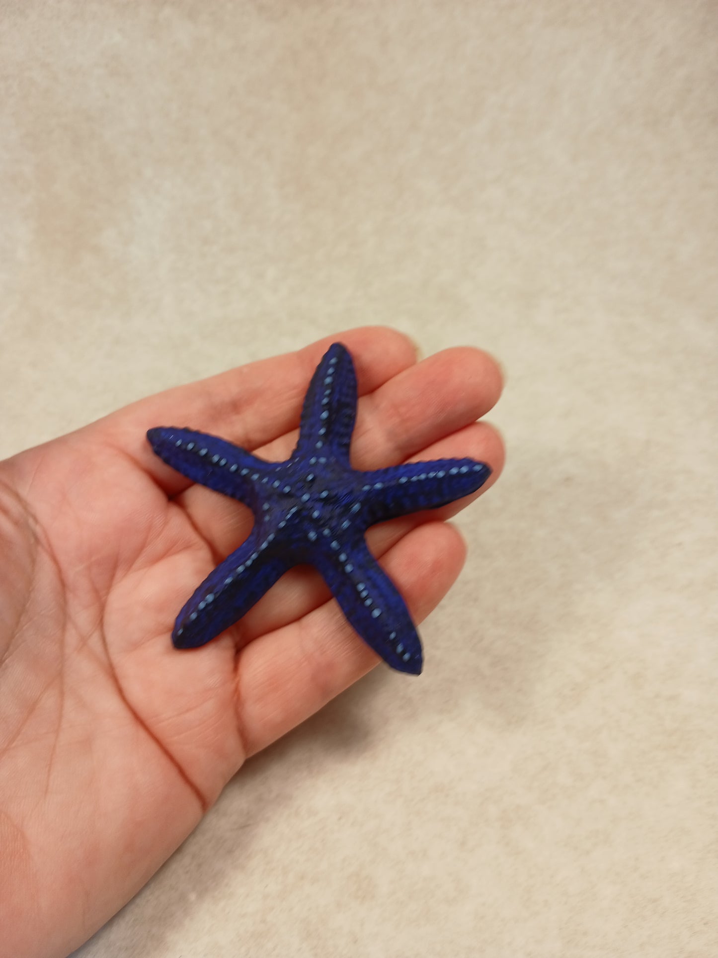 Magnets Starfish