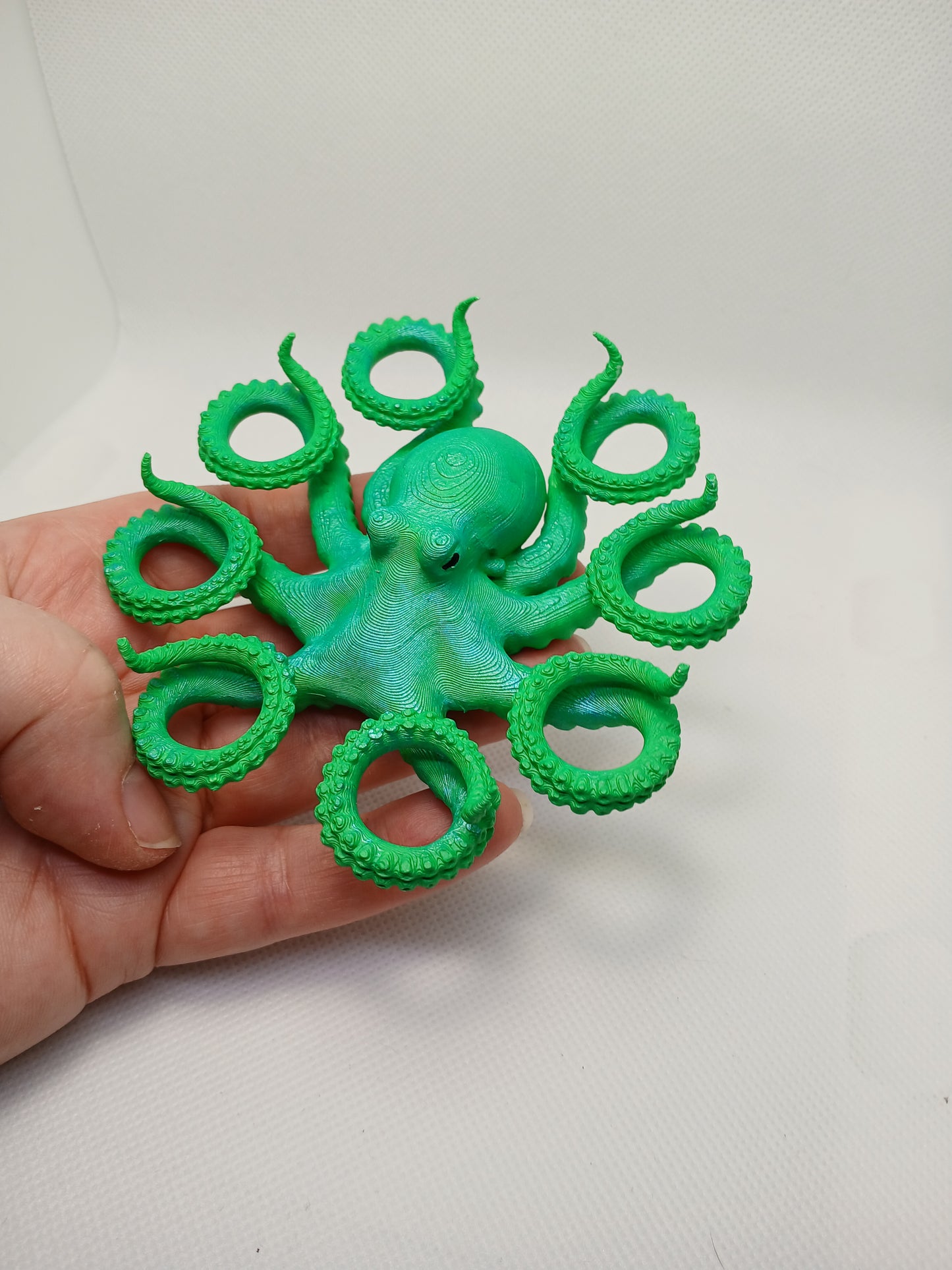 Dice holder Octopus