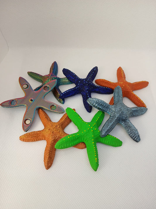 Magnets Starfish