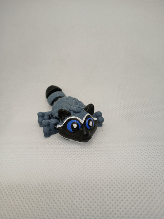 Raccoon