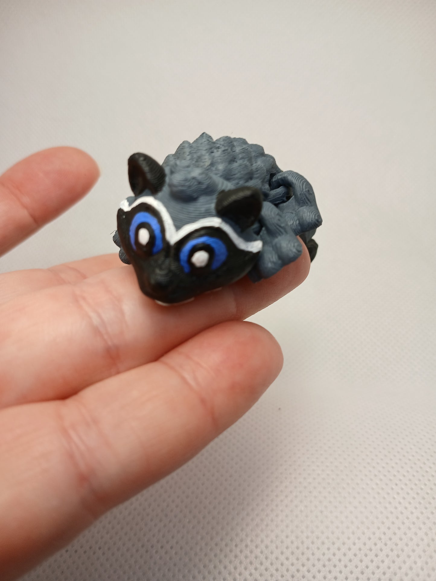 Raccoon