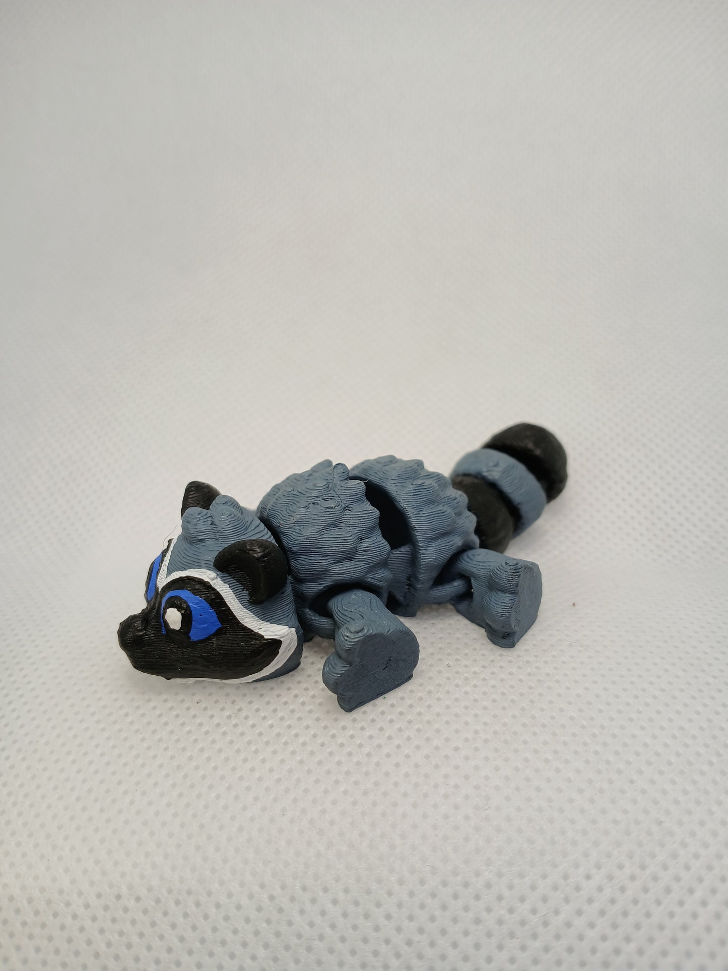 Raccoon